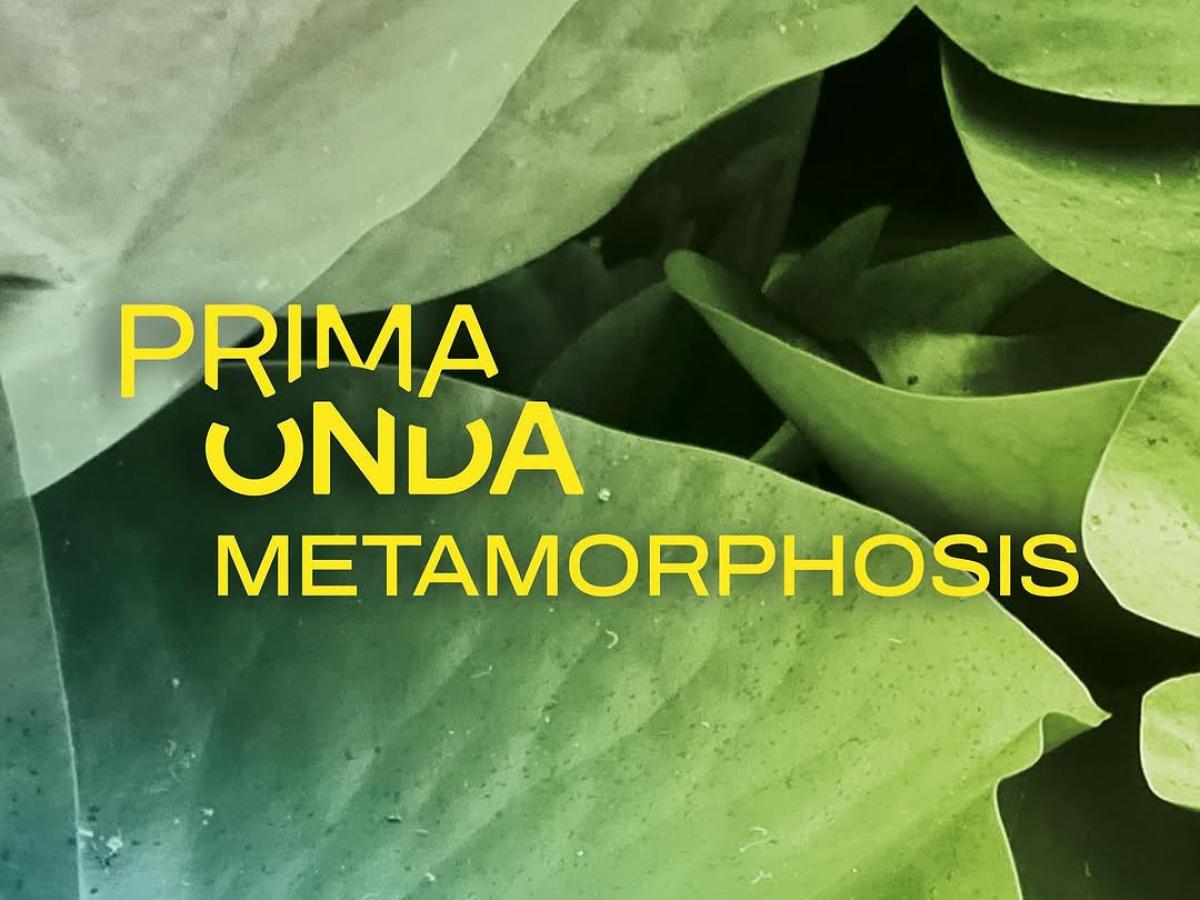 Metamorphosis Festival - Locandina evento