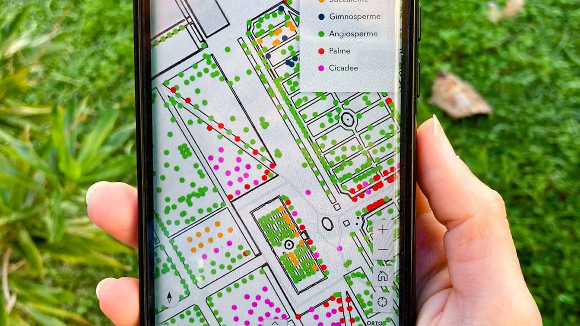 GISOrto - banca dati digitale del patrimonio vegetale in piena terra dell’Orto Botanico GISOrto - banca dati digitale del patrimonio vegetale in piena terra dell’Orto Botanico