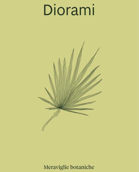 Diorami - copertina volume