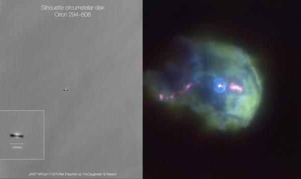 Manifesto for the study of environmental effects on the evolution of protoplanetary discs