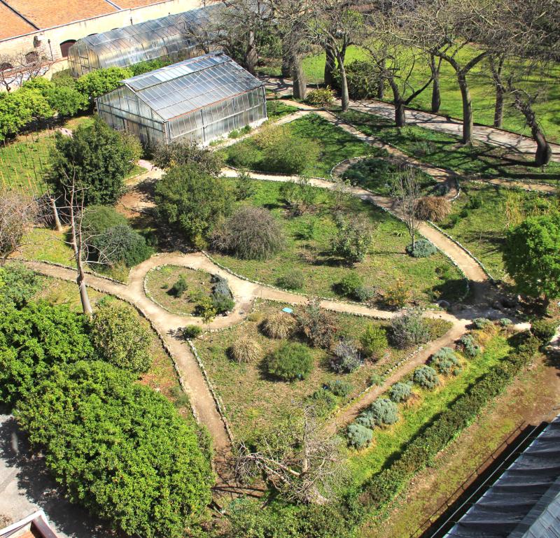 Giardino dei Semplici
