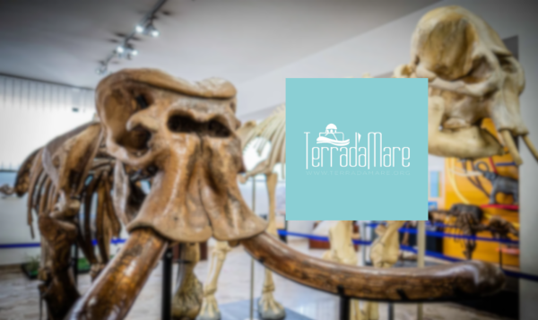 Extraordinary opening february 1st at Museo Gemmellaro with Terradamare